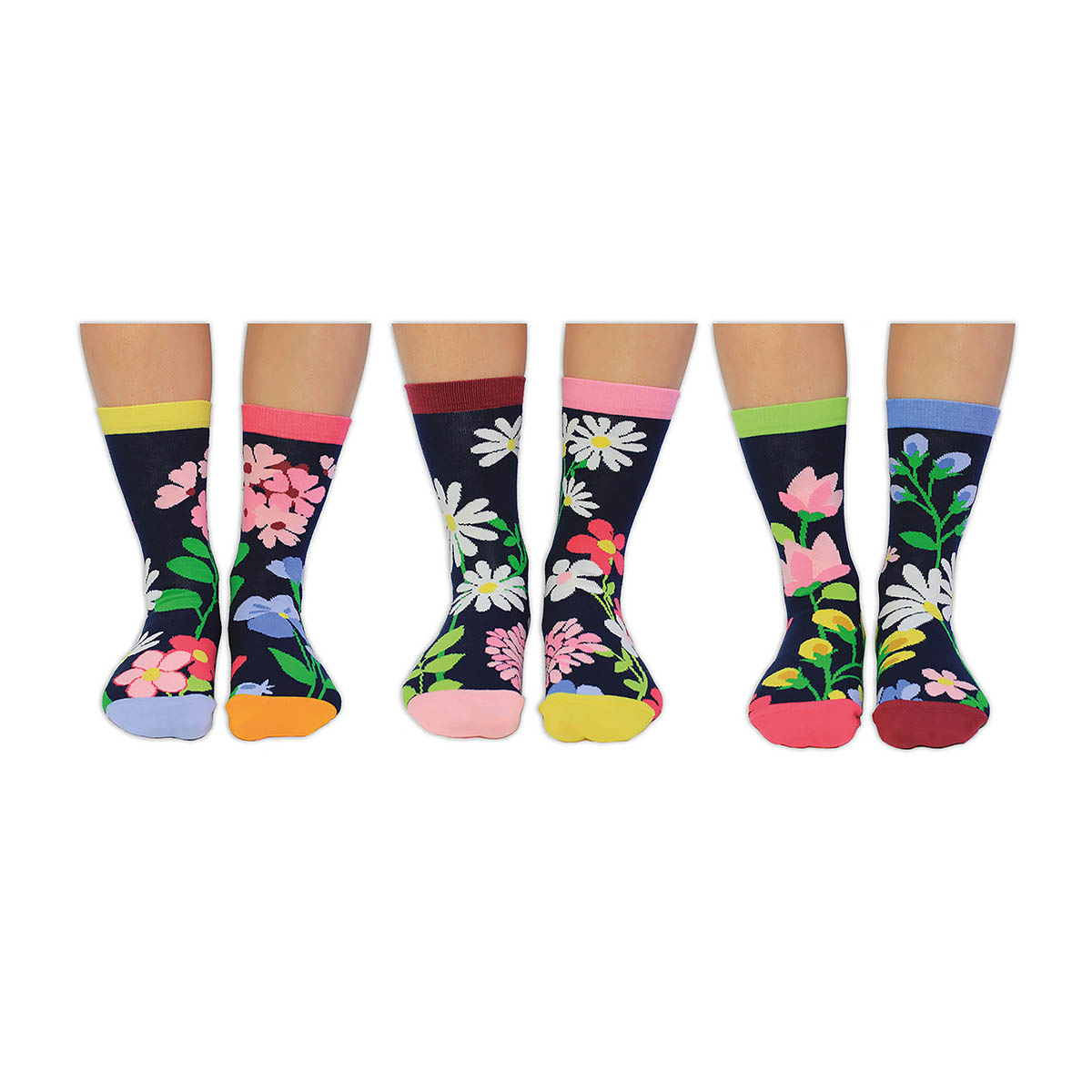 United Oddsocks Blooming Amazing 37-42, Blumengarten-Geschenkbox mit 6 Socken
