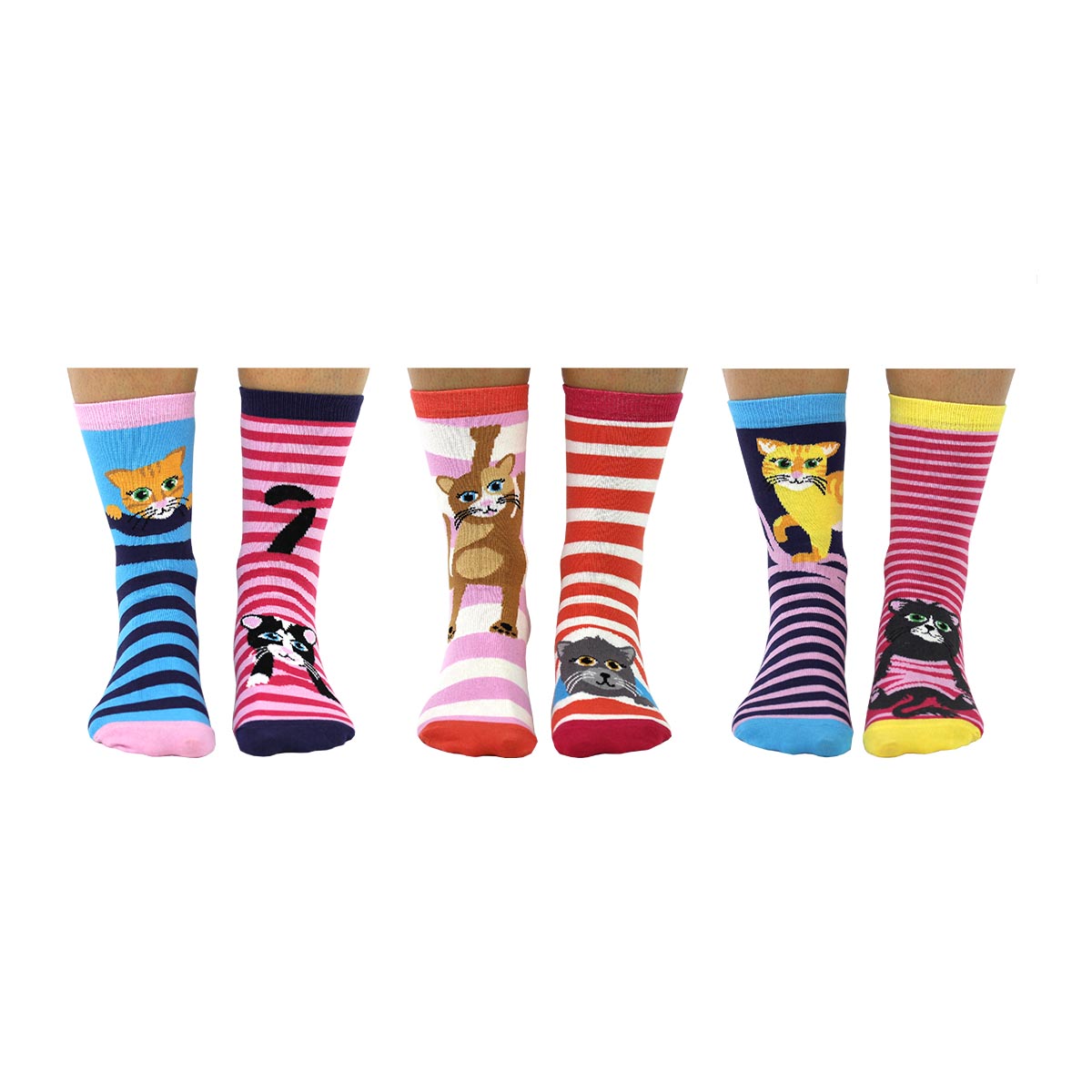 United Oddsocks Feline Good 37-42, 6 freche Katzensocken in der Geschenkbox