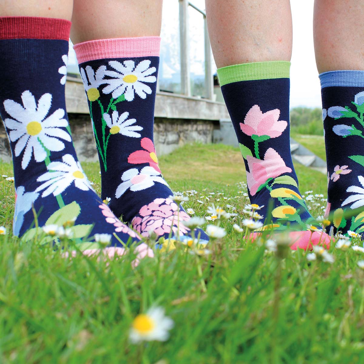 United Oddsocks Blooming Amazing 37-42, Blumengarten-Geschenkbox mit 6 Socken, produktansicht 2