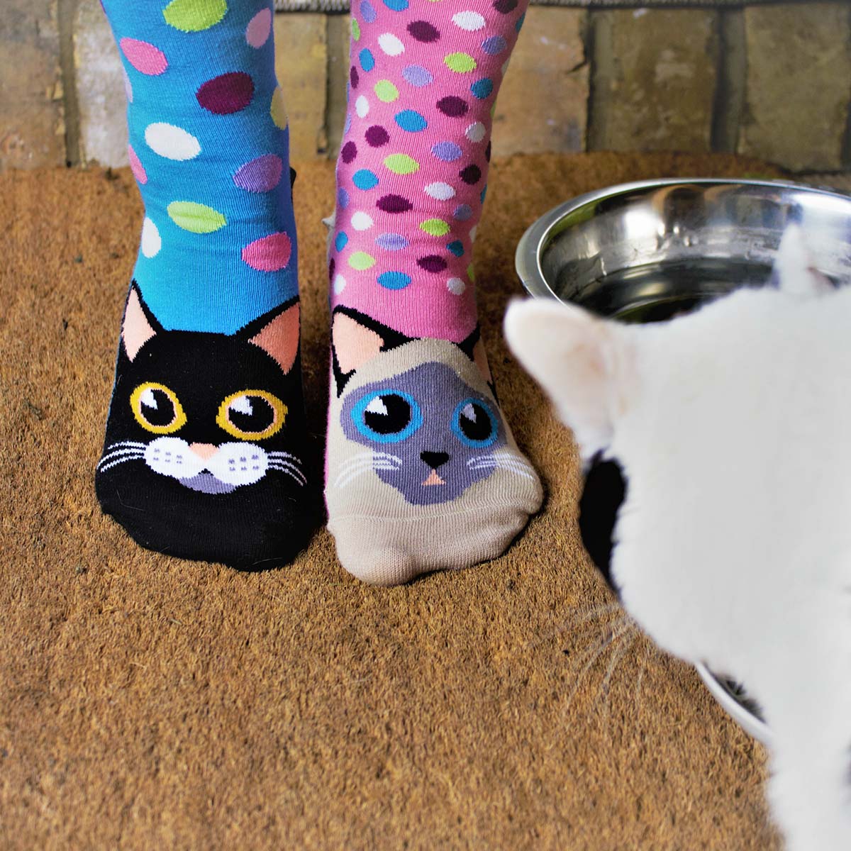United Oddsocks Catwalk 37-42, Socken-Geschenkbox für Katzenfans, produktansicht 2