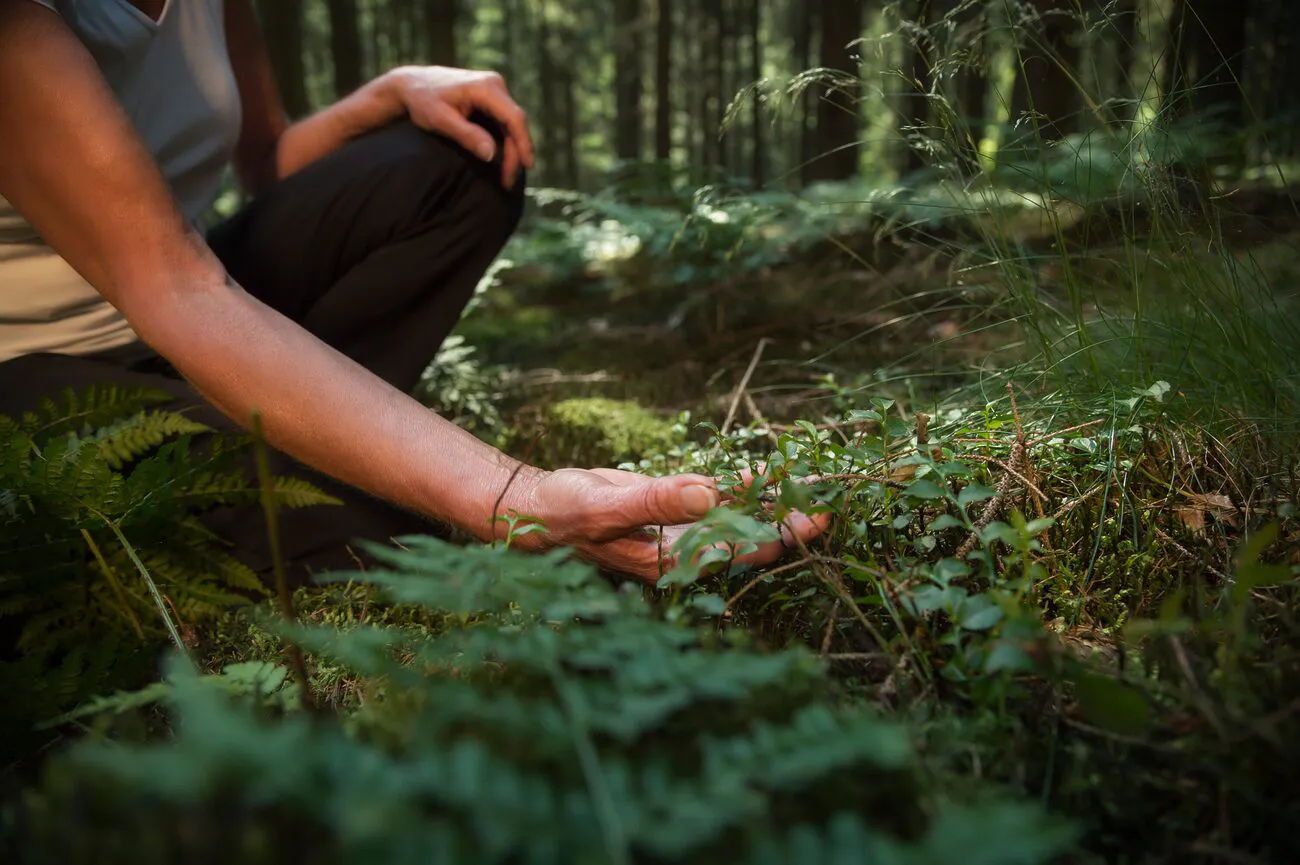 Impression aus der Schweizer Natur – Outdoor Explorer: Hochwertige Outdoor-Produkte für Wandern, Camping und Abenteuer.