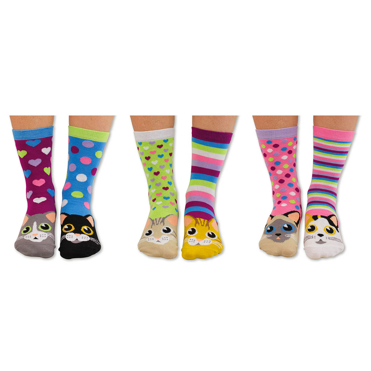 United Oddsocks Catwalk 37-42, Socken-Geschenkbox für Katzenfans
