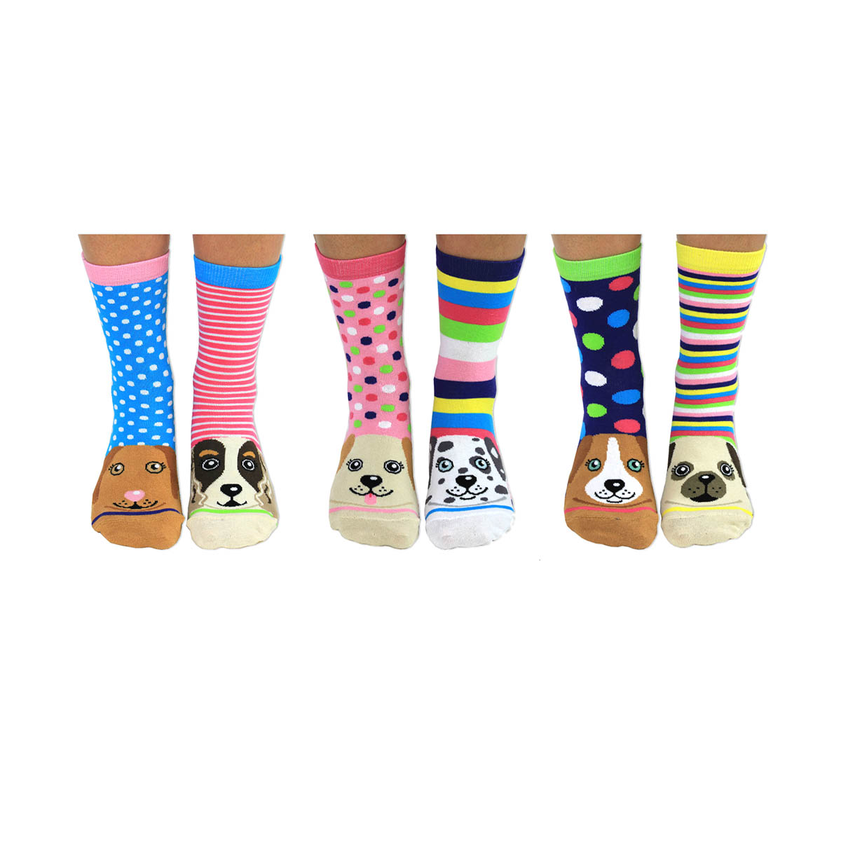 United Oddsocks Pawsome 37-42, Socken-Geschenkbox für alle, die Hunde lieben